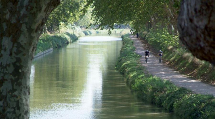 Du Pin Hébergement de vacances Gruissan